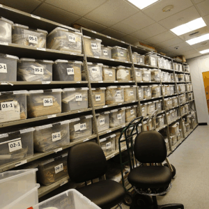 Evidence / Records Room Lock & Hardware Upgrade – Consultation